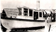 Wildcat Steamer